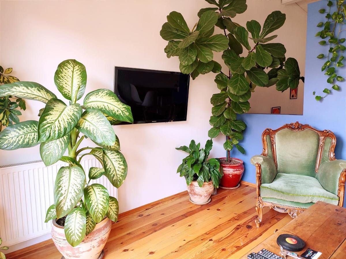 Kunterbunt Istanbul Apartment ภายนอก รูปภาพ